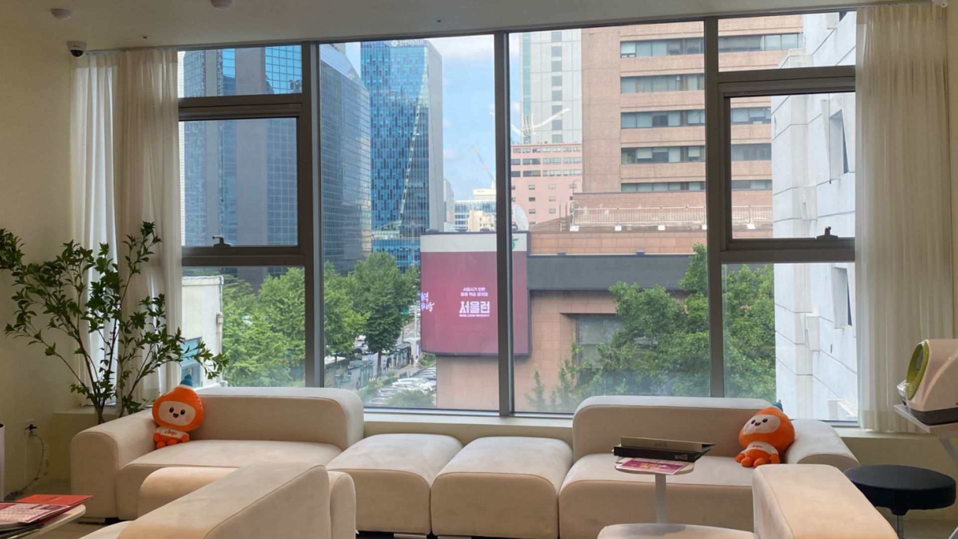 Bloome Clinic interior